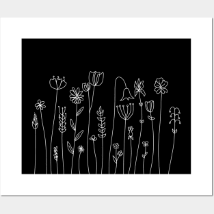 Flowers Line Art Drawing - Cape Wildflowers Posters and Art